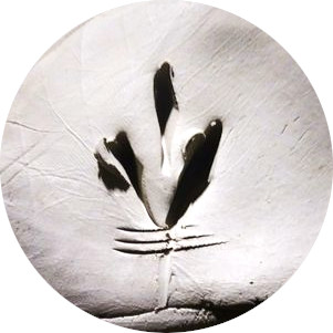 Jeanmichel Cote Ceramics